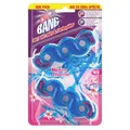 Cillit Bang 6in1 Blüten Frische Duo 2x35 g Farbduftspüler Frischeduft und Farbspüler für WC-Becken 3116705
