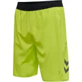 Hummel Lead Pro Training Short - grün