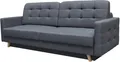 Sofa mit Schlaffunktion und Bettkasten, Couch für Wohnzimmer, Schlafsofa Federkern Sofagarnitur Polstersofa Wohnlandschaft mit Bettfunktion - 229 cm x 97 cm x 95 cm CARLA Dunkelgrau - Fuego 166)