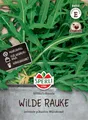 Sperli Wilde Raukesamen SPERLI's Rucola 84553 - Pikantes Würzkraut für die Mediterrane Küche - intensiv und pikant - mehrjährig - Salat, Samen, Saatgut