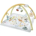 Fisher-Price Simply Senses Sensorische Erlebnisdecke, Spielbogen/Decke