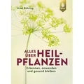 Alles über Heilpflanzen von Ursel Bühring / Ulmer Eugen Verlag / Buch