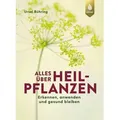 Alles über Heilpflanzen