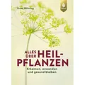 Alles über Heilpflanzen