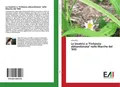 Le levatrici e \"l'infanzia abbandonata\" nelle Marche del '900 Fabia Pioli