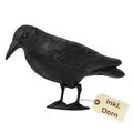 Taubenabwehr Vogelabwehr Schwarzer Rabe Attrappe Taubenschreck für Balkon Vogelschreck Vogelscheuche Vogel Attrappe Krähe aus Kunststoff Vogelabschreckung