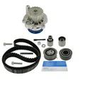 SKF VKMC 01251 Wasserpumpe + Zahnriemensatz für Skoda Octavia VW Audi A3 Seat
