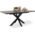 Esstisch SANSIBAR HOOGE LBH 170x90x76 cm braun Esszimmertisch - Braun