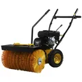 TEXAS Kehrmaschine "Handy Sweep 650TG", 4 kw, benzinbetrieb - schwarz
