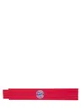 FC Bayern München Zollstock FC Bayern