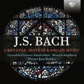 Bach,J.S.:Cantatas,Motets  Organ Music von Various | CD | Zustand sehr gut