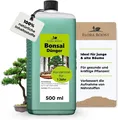 Bonsai Dünger für gesundes Wachstum & Vitalität  Spezialdünger Flora Boost 500ml
