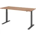 HAMMERBACHER VXMKA19/N/G elektrisch höhenverstellbarer Schreibtisch 70,0 - 120,0 cm - elektrisch nussbaum / grafit