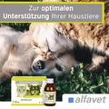 ReConvales Artrin 3x90 ml Gelenke Katze & Hund Alfavet