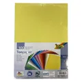 Folia Tonpapier (130 g/m², 1x) (6499)