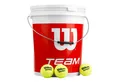Wilson Tennisball Team W Trainer - 72 Tennisbälle - Drucklose Bälle - (72er Eimer)