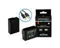 Patona 2x Akku für Panasonic DMW-BLC12 mit USB-C Input Kamera-Akku Ersatzakku Akku 1100 mAh (7,2 V, 2 St), FZ2000 FZ300 GX8 G81 GH2