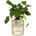 Blumenständer Pflanzenständer Draht Gold 44 cm Wire Brass Kare Design 54160