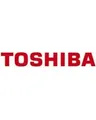 Toshiba Canvio Flex 4 TB warm silver GB