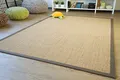 Steffensmeier Sisal Teppich Brazil mit Bordüre Farbe Natur dunkel Oliv Premium Qualität 100% Sisal, Größe: 300x400 cm