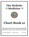 The Holistic Medicine Chart Book: Nutritional Charts for Foods and Herbs, Bach Flower, Gems, Color, 5 Elements and More