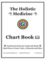 Osalina Berman M H The Holistic Medicine Chart Book (Taschenbuch)