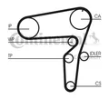 Continental Ctam CT1105WP2 Wasserpumpe + Zahnriemensatz für Opel Fiat Saab Jeep