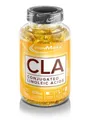 IronMaxx CLA Conjugated Linoleic Acids - 130 Kapseln (119,98 EUR/kg)