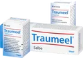 Traumeel S Tabl. + Creme 250 St