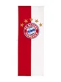 FC Bayern München Hissfahne I Hochformat I Logo I Rot-Weiß I Fußball I 400x150 cm