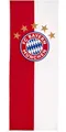 FC Bayern München Fahne Hissfahne Hochformat Logo