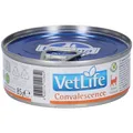 Nassfutter Farmina VetLife Convalescence - Cat Adult