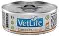 Farmina Vet Life Convalescence Nassfutter 85g – Futter zur Erholung von Katzen