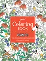 Peanuts for Inspiration & Relaxation (Posh Coloring Books, Band 21)