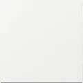 Gira Wippe System 55 Reinweiss 329603 (329603)