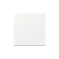 Gira Wippe 329603 Sys.55 rws