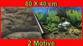 Aquarium Deko 🍀 80x40cm RÜCKWANDFOLIE 🍀'Dekoration Fotorückwand Zubehör Poster