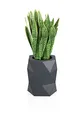 Forvega - Modena Blumentopf, Höhe 54 cm, Öffnungsweite 31 cm, mit Ablage, modernes Design, Top-Qualität, für den Innen- und Außenbereich, aus recycelten Materialien, anthrazit