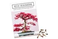 HappySeed Blumensamen Außergewöhnliche Bonsai Samen mit hoher Keimrate - Roter Fächerahorn, Bonsaifähig