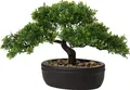 Kunstbonsai Pflanze Dekoration Für Zuhause Büro Fensterbank Pflegeleicht