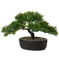 Kunstbonsai Podocarpus Keramiktopf Schwarz Dekopflanze Natur