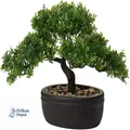 Kunstbonsai Bonsai Podocarpus Naturgetreue Keramik-Übert