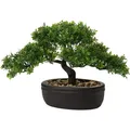 Kunstbonsai 23Cm Kunststoff Dekobonsai  dekorativ Büro