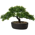 Kunstbonsai Kunstpflanze Mini Bonsai Podocarpus  Dekoration