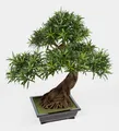artplants Deko Bonsai Podocarpus in Schale, Deluxe, 3830 Blätter, 85cm
