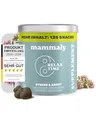 mammaly Beruhigungsmittel für Hunde Relax Time - 120 Leckerlis mit Baldrian & Zitronenmelisse (Entspannungs- & Anti-Stress-Mittel) leckere Snacks Seelenruhe & Entspannung Hund bei Angst/Stress