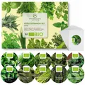 10er Set BIO Kräutersamen - Anzuchtset aus biologischem Anbau ideal für Zuhause
