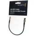 Blackmagic Design BNC-Kabel Din 1.0/2.3 auf BNC-Buchse -20cm-