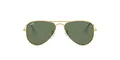 Ray-Ban Unisex Kinder 0rj9506s 223/71 52 Brillengestelle, Gold (Gold/Green), Einheitsgröße EU