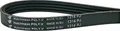 easyPART passend für 014850 EUROPART Riemen Keilrippenriemen Antriebsriemen Waschmaschine 1314 PJ4 wie Siemens 00278339 Bosch Neff Pitsos Constructa Balay a Airlux Merloni EBD Ardo